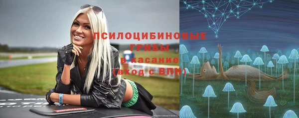 гидра Бородино