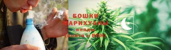 гидра Бородино