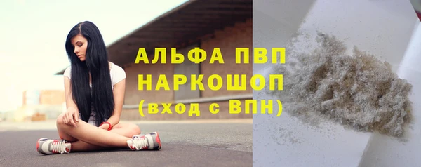 гидра Бородино
