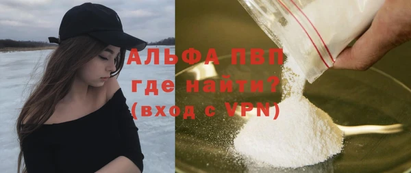 гидра Бородино