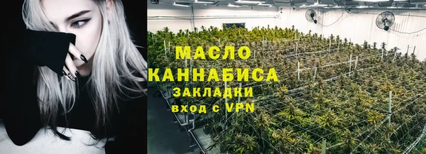 гидра Бородино